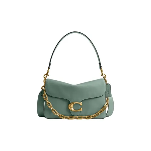 COACH ChainTabby Cow Leather One Shoulder Handbag Medium Size Women's Gray Green
