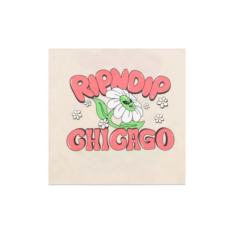 RIPNDIP Canvas Canvas Bag One Shoulder Handbag Women's Beige-2