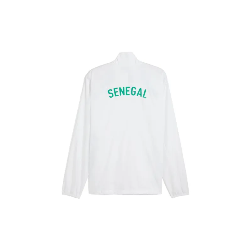 PUMA SENEGALDRYCELL Soccer Jerseys Men's White Green-1