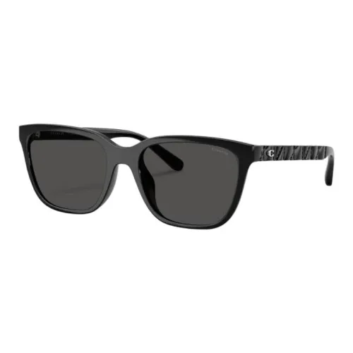 COACH Resin Irregular Shape Sunglasses Unisex Black