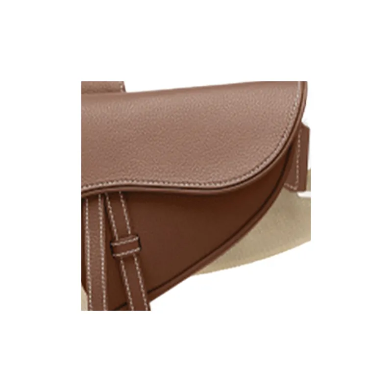 DIOR Saddle Sling Bags-2