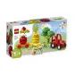 Fruit and Vegetable Tractor