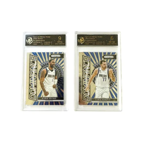 PANINI Graded Cards