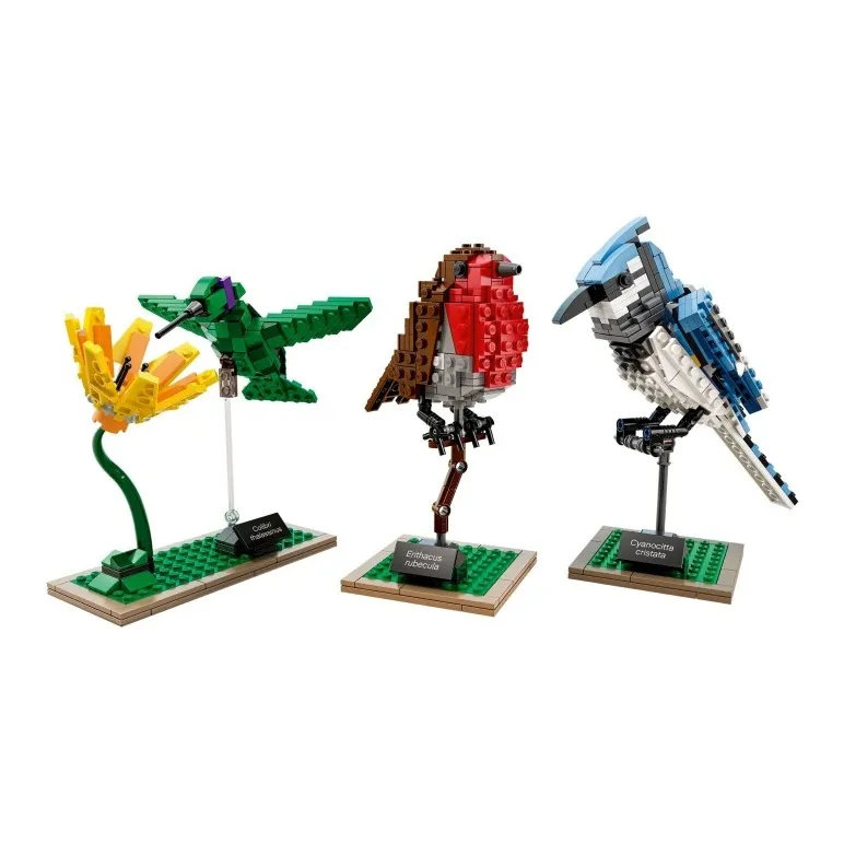 LEGO Ideas Birds Set 21301-1