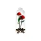 Rose 1 Box+LYB Display Case
