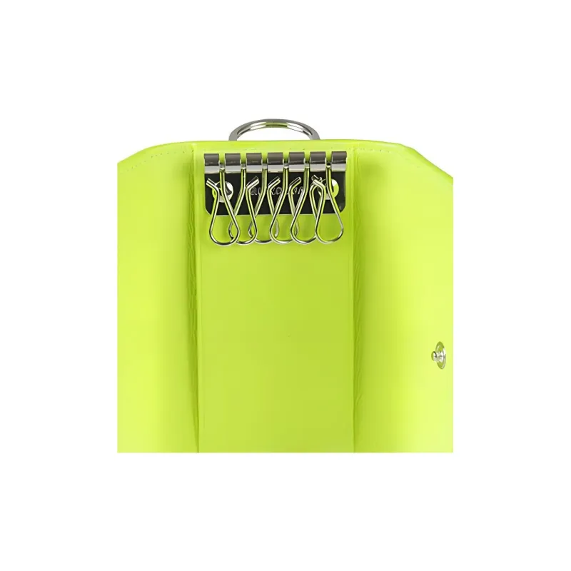Balenciaga Key Pouches-4