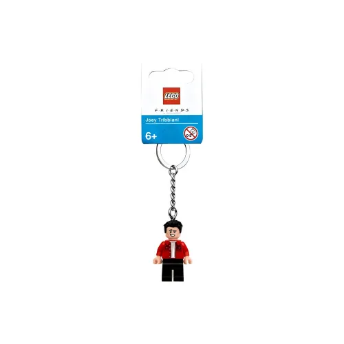LEGO IDEAS Collection Friends Main Characters Joey Keychain Building Blocks 0-300 854119