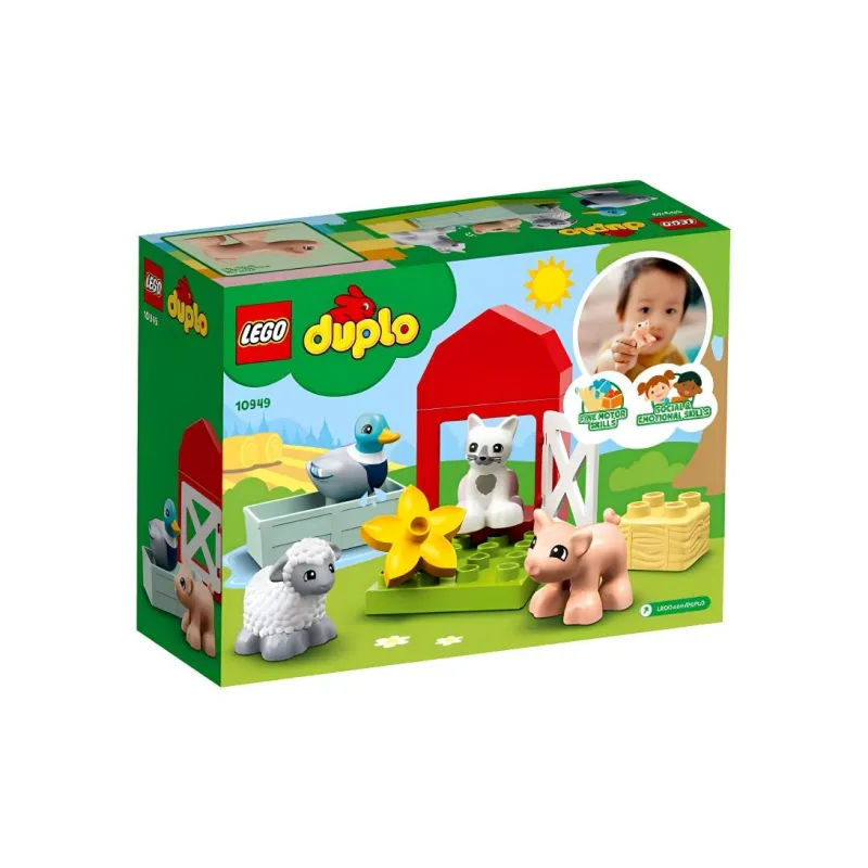 LEGO Collection Building Blocks-2