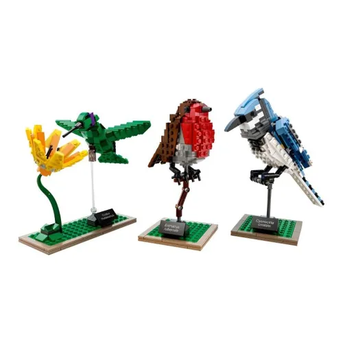 LEGO Ideas Birds Set 21301