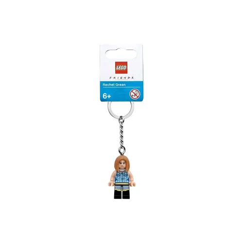LEGO IDEAS Friends Main Characters Friends Rachel Building Blocks 0-300 854120