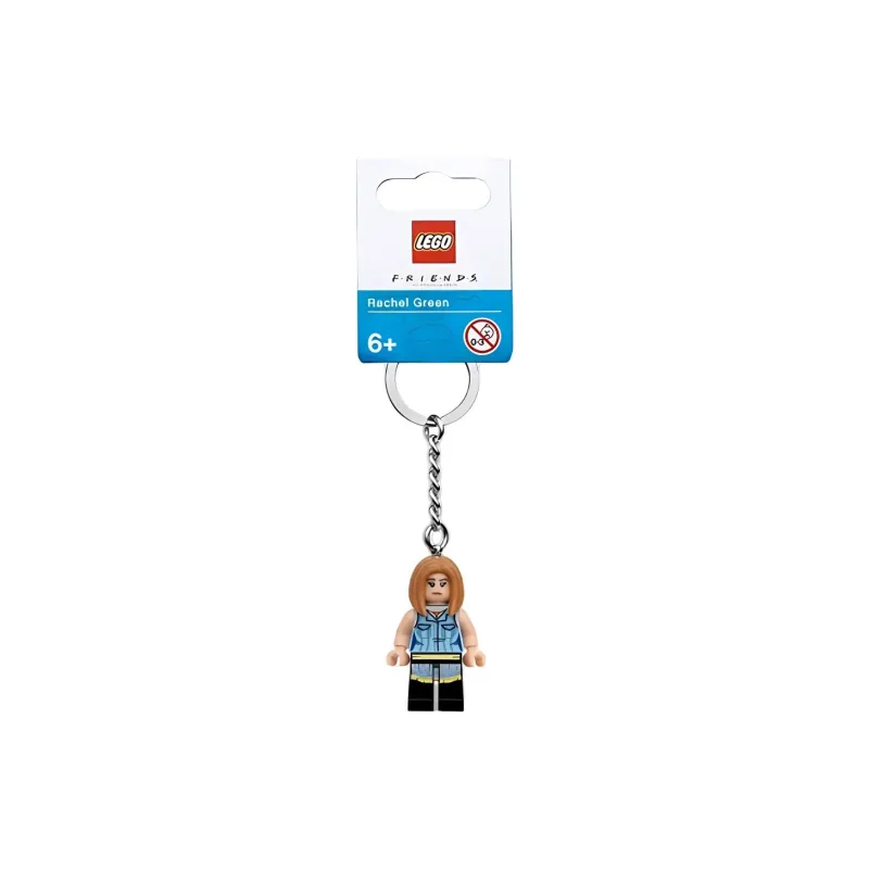 LEGO IDEAS Friends Main Characters Friends Rachel Building Blocks 0 300 854120-0