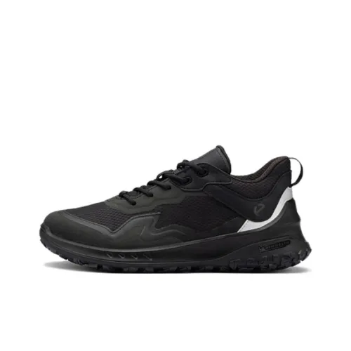 Ecco Otto Series Low-Top Trekking Shoes Women's Black Silver