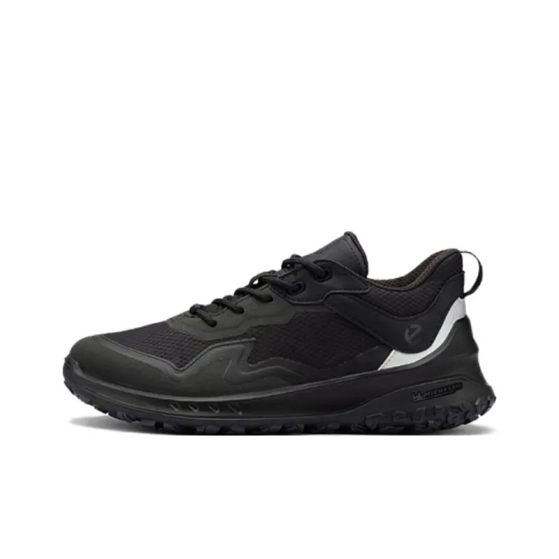 Ecco Otto Series Low-Top Trekking Shoes Women's Black Silver-0