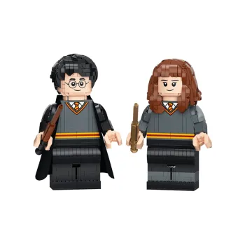 LEGO Harry Potter Collection Harry Potter And Hermione Granger, Harry Potter Characters Building Blocks 76393