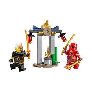 LEGO Phantom Ninja Collection Kay And Lepont Temple Battle Building Blocks 47pcs 30650