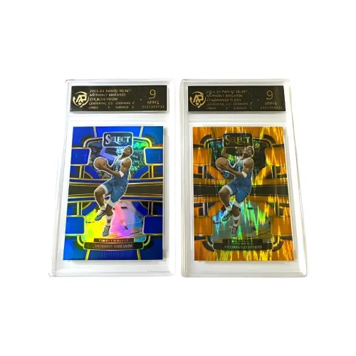 PANINI Graded Cards