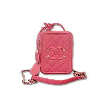 CHANEL Litchi Grain Calfskin Camera Bag, Shoulder Bag, Crossbody Bag Women's Pink