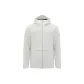 Antarctic Gray