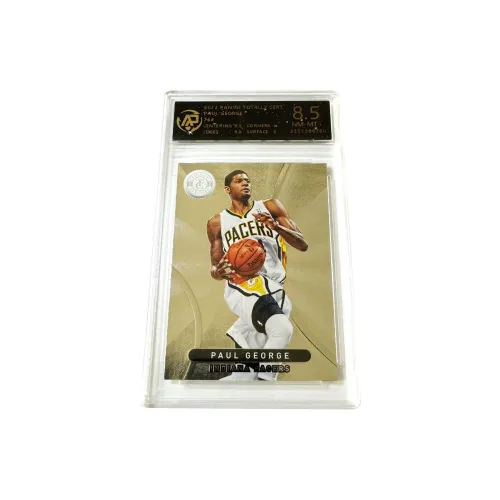 PANINI Paul George, Hiking Totally Certified Silver, Relief, Basketball Card 8.5 Points Graded Cards 1 Pc