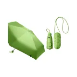 Green Apple