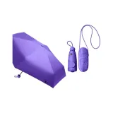 Monet Purple