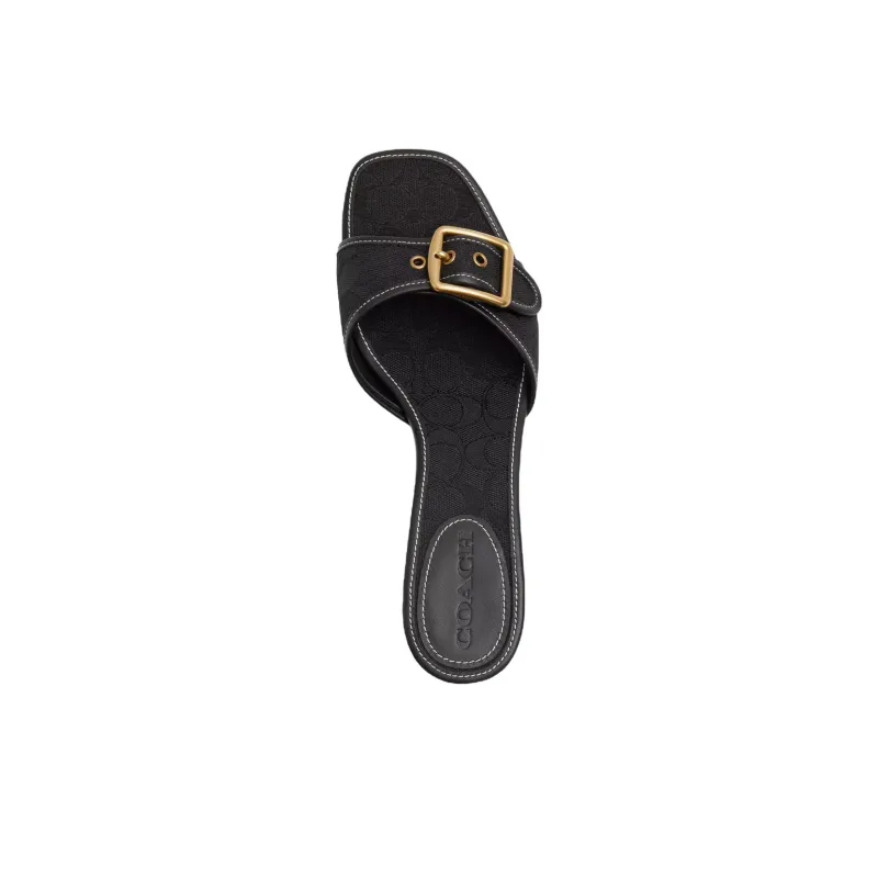 COACH Margot Slide Slippers 5.7cm Women's Black-3
