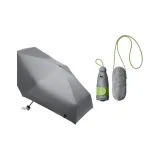 Olive Gray