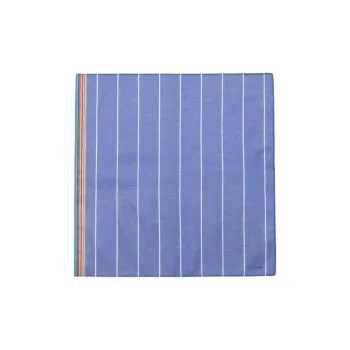 Paul Smith Silk Scarves Unisex Blue