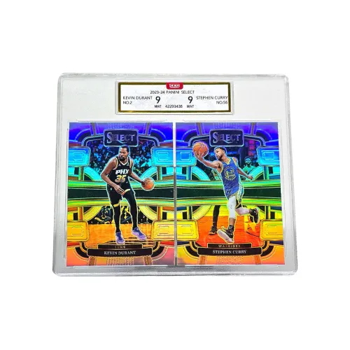 PANINI Graded Cards