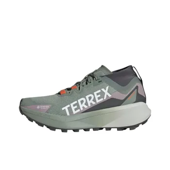 Adidas Terrex Agravic Gore Tex Trail Silver Green Cloud White Preloved Fig Women's