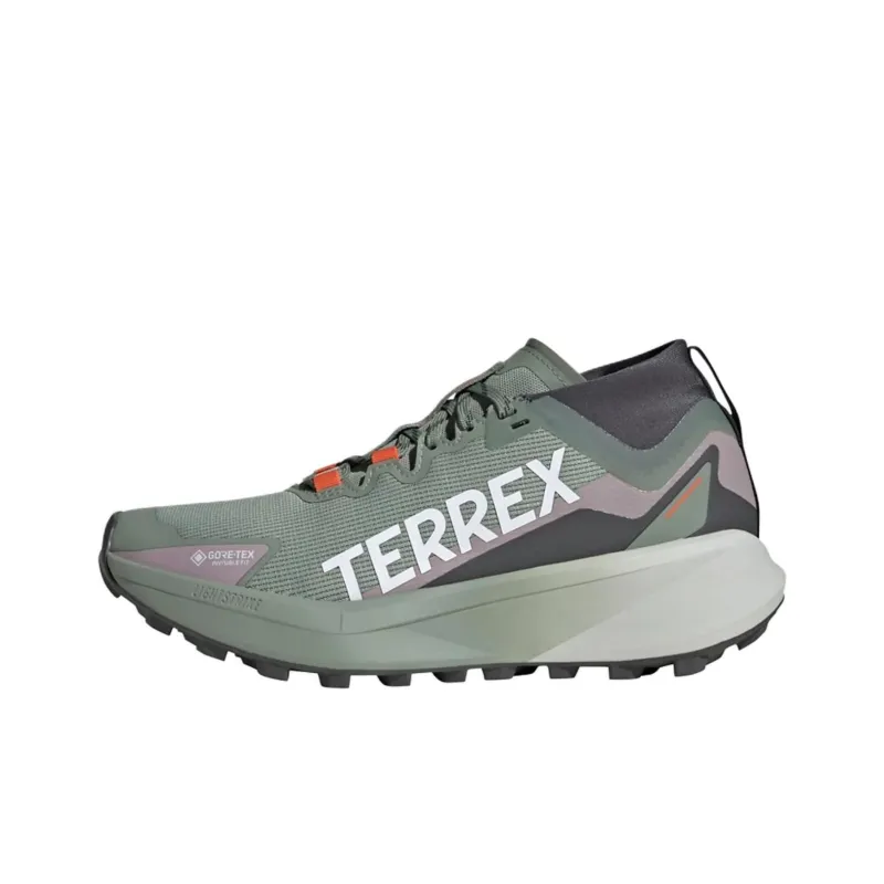Adidas Terrex Agravic Gore Tex Trail Silver Green Cloud White Preloved Fig Women's-0