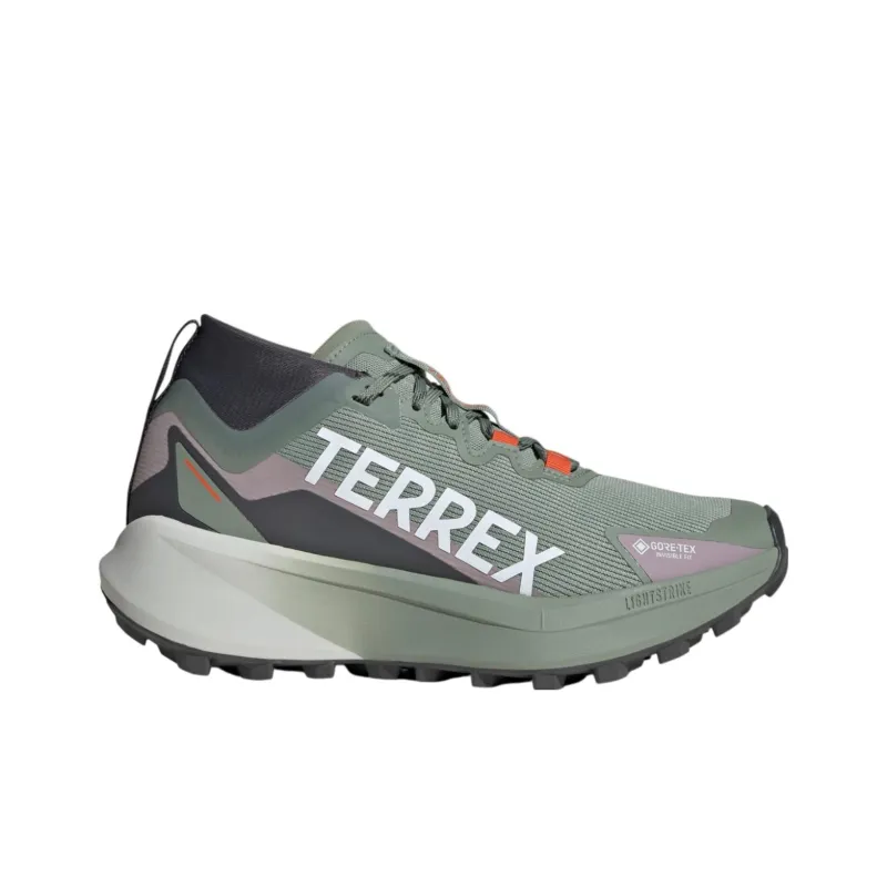 Adidas Terrex Agravic Gore Tex Trail Silver Green Cloud White Preloved Fig Women's-1