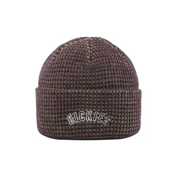 Dickies Polyester Acrylic Beanies Unisex Army Green/Palace Green