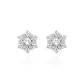 Silver 925-Sparkling Snowflake Stud Earrings