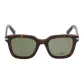 Tortoiseshell