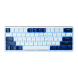 Blue & White Multicolor