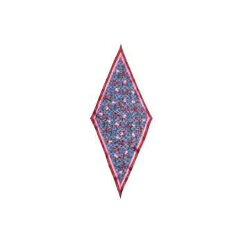 COACH Silk Scarves Unisex Blue Red