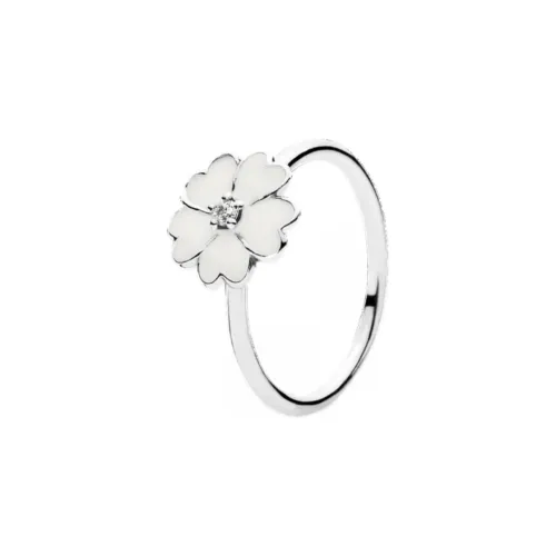 Pandora Accessories Charms Pendants Unisex Silver