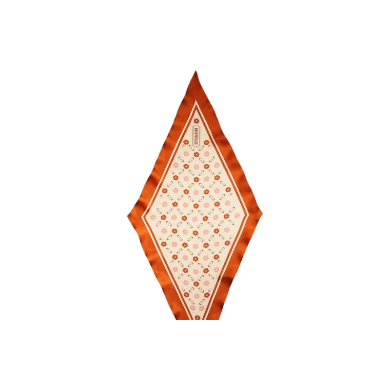 COACH Silk Silk Scarves Unisex Orange-2