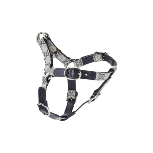 GUCCI Leashes