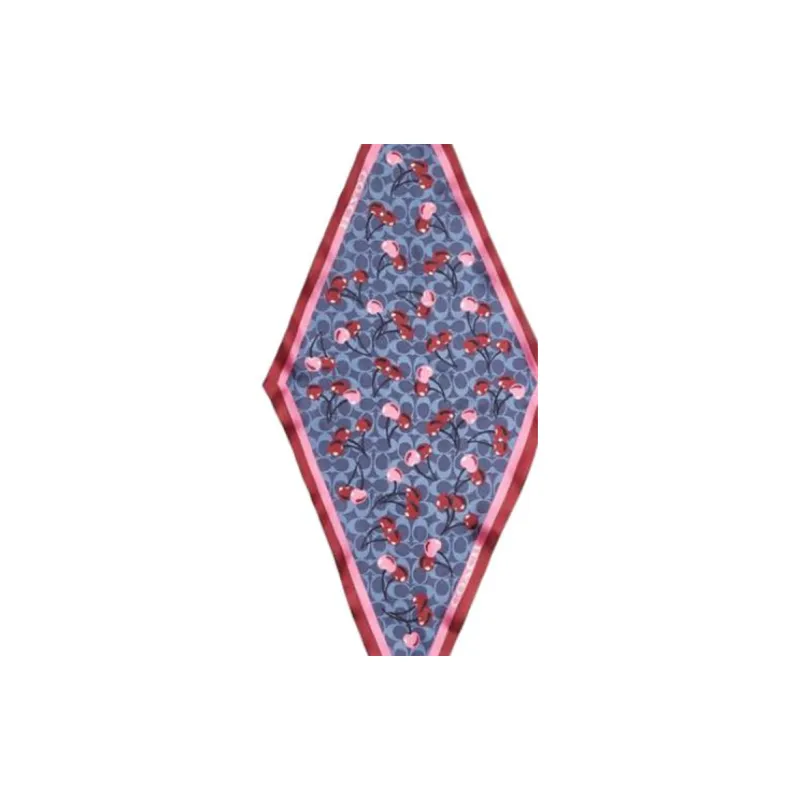 COACH Silk Scarves Unisex Blue Red-1