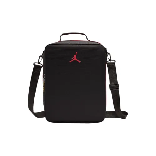 JORDAN The Collectors Shoe Box 13L