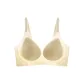 Champagne White