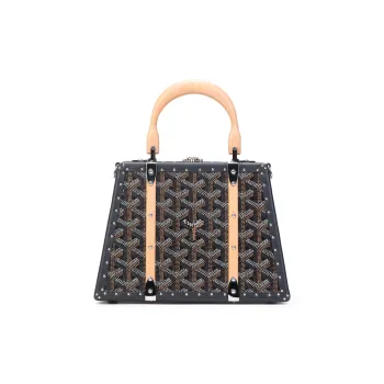 GOYARD Saigon Canvas With Calfskin Hard Case Handbag Mini Unisex Black