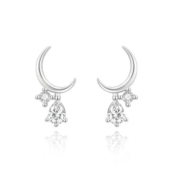 ZSY Silver 925 Earrings Women's Box