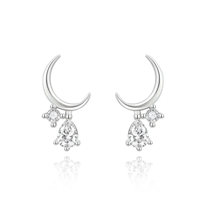 ZSY Silver 925 Earrings Women's Box-0