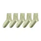 Light Green 5 (Shopping Bag Included)