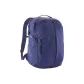 Solvent Purple