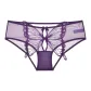 Sexy Purple