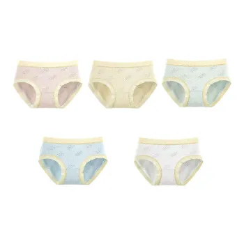 Herbal Primer Underpants Women's 5 Pack